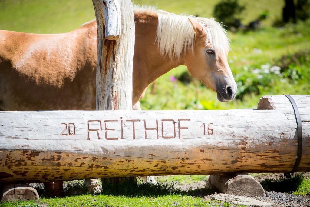 Almhof-Reithof Pitztal Hotell Sankt Leonhard im Pitztal Exteriör bild